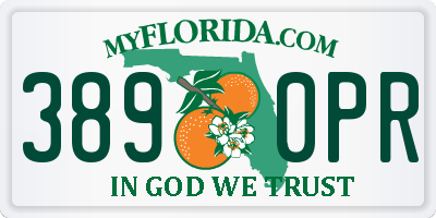 FL license plate 3890PR