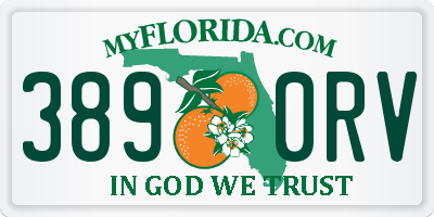 FL license plate 3890RV