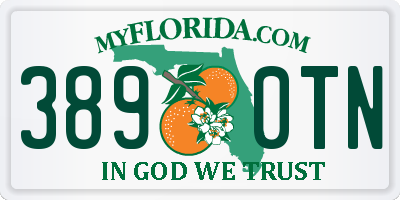 FL license plate 3890TN