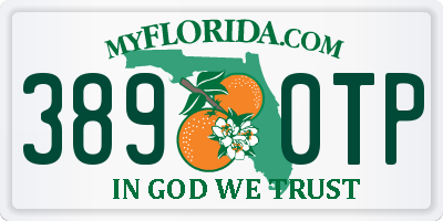 FL license plate 3890TP