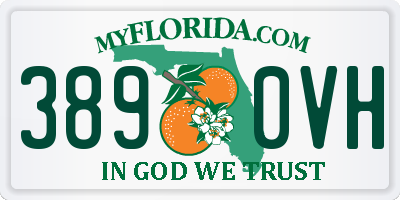 FL license plate 3890VH