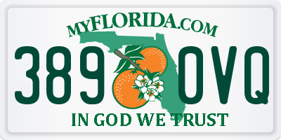 FL license plate 3890VQ