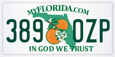 FL license plate 3890ZP