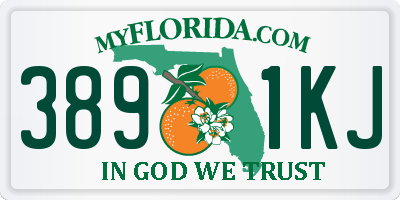 FL license plate 3891KJ
