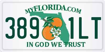 FL license plate 3891LT