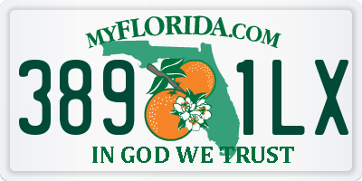 FL license plate 3891LX