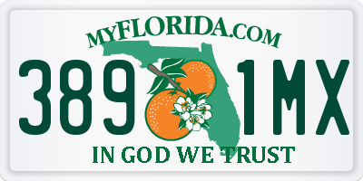 FL license plate 3891MX