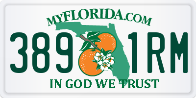 FL license plate 3891RM