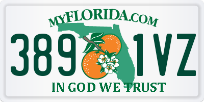 FL license plate 3891VZ