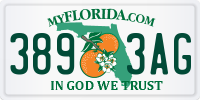 FL license plate 3893AG