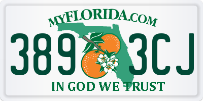 FL license plate 3893CJ