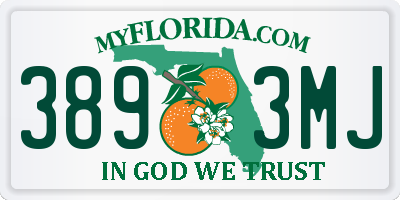 FL license plate 3893MJ