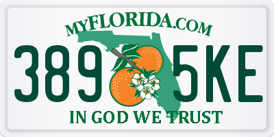 FL license plate 3895KE