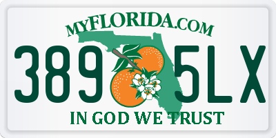 FL license plate 3895LX