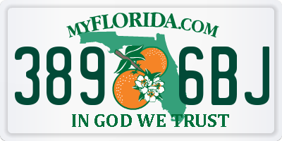 FL license plate 3896BJ