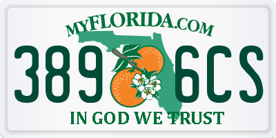 FL license plate 3896CS
