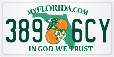 FL license plate 3896CY