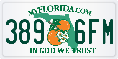 FL license plate 3896FM