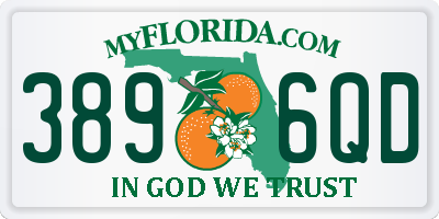 FL license plate 3896QD