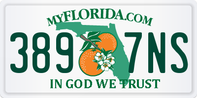 FL license plate 3897NS