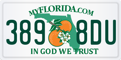 FL license plate 3898DU