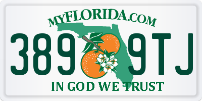 FL license plate 3899TJ