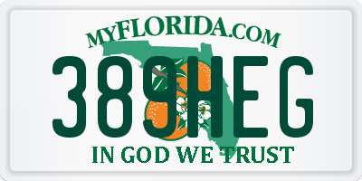 FL license plate 389HEG