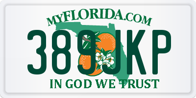 FL license plate 389JKP