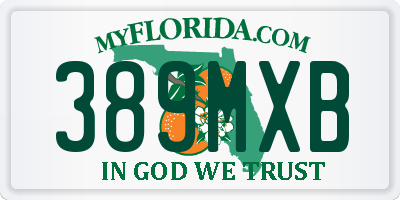 FL license plate 389MXB