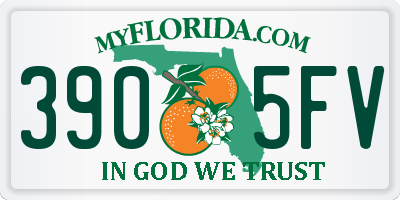FL license plate 3905FV