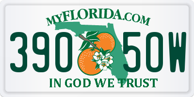 FL license plate 3905OW