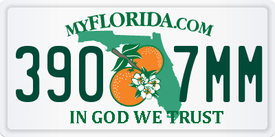 FL license plate 3907MM