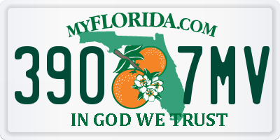 FL license plate 3907MV