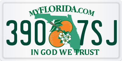 FL license plate 3907SJ