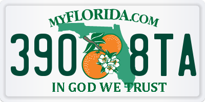 FL license plate 3908TA