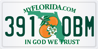 FL license plate 3910BM