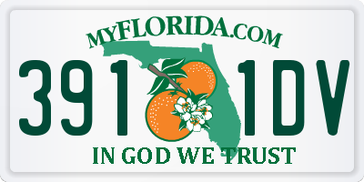 FL license plate 3911DV
