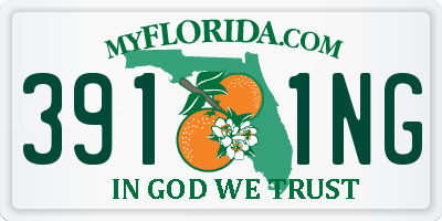 FL license plate 3911NG