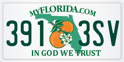 FL license plate 3913SV