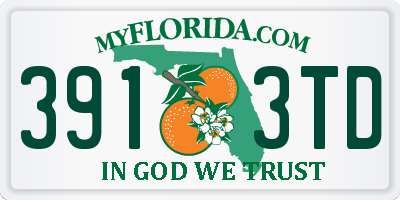 FL license plate 3913TD