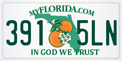 FL license plate 3915LN