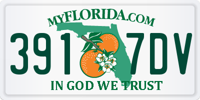 FL license plate 3917DV