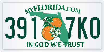 FL license plate 3917KO