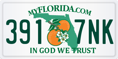 FL license plate 3917NK