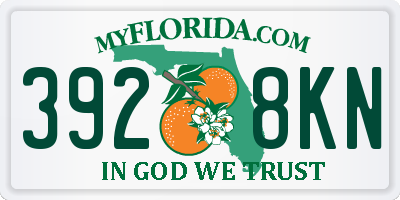 FL license plate 3928KN