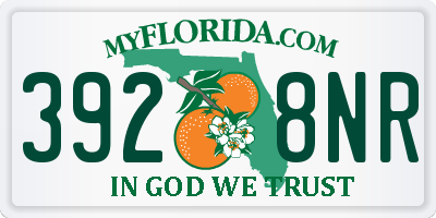 FL license plate 3928NR
