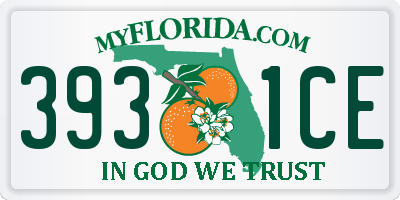 FL license plate 3931CE