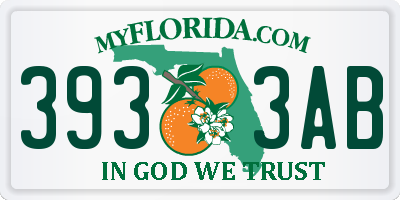 FL license plate 3933AB