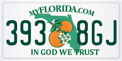 FL license plate 3938GJ