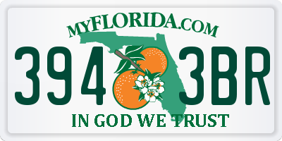 FL license plate 3943BR